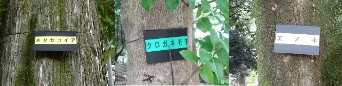 尾西公園