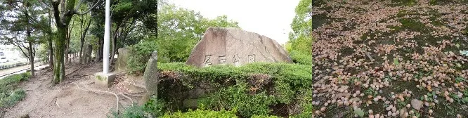 尾西公園