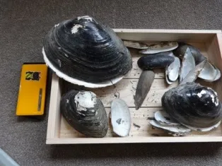 一宮市尾西歴史民俗資料館