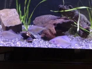 一宮市尾西歴史民俗資料館