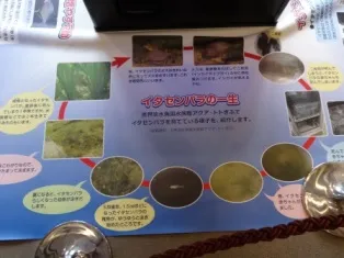 一宮市尾西歴史民俗資料館