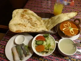 インド料理　ファミリ－ナンハウス レディースセット