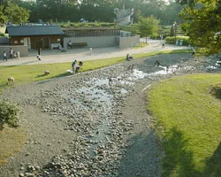 138タワーパーク　やすらぎの池