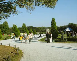 138タワーパーク　ピサニの迷路・希望の塔