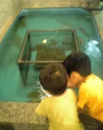 中の濱 一宮今伊勢店外観