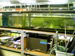 アクアトト岐阜バックヤードツアー