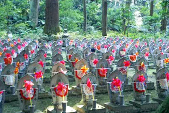 湖東三山金剛輪寺