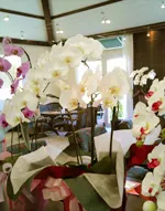 胡蝶蘭（閉店）料理写真