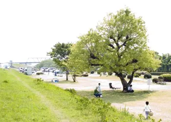 木曽川緑地公園