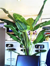 Universe Cafe ユニバースカフェ外観写真