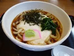 とろろうどん写真