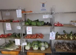 株式会社 五和電気工業 無人野菜販売