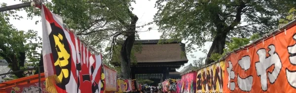 曼陀羅寺公園 江南藤まつり