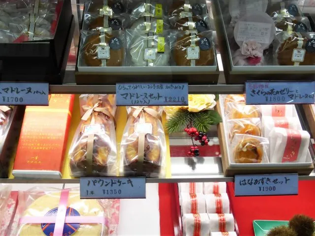 若松園マロニエの商品写真