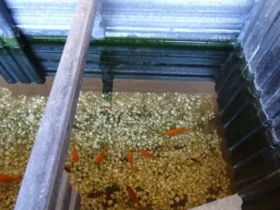 珈琲屋　OLIVE（オリーブ）写真