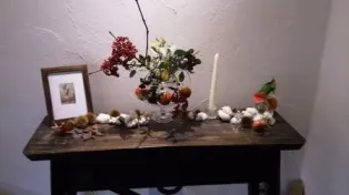 西洋御菓子　千花（せんか）写真