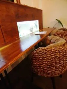 サニーシーズン