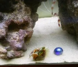 サニーシーズン