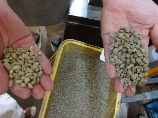 田村コーヒー商会写真