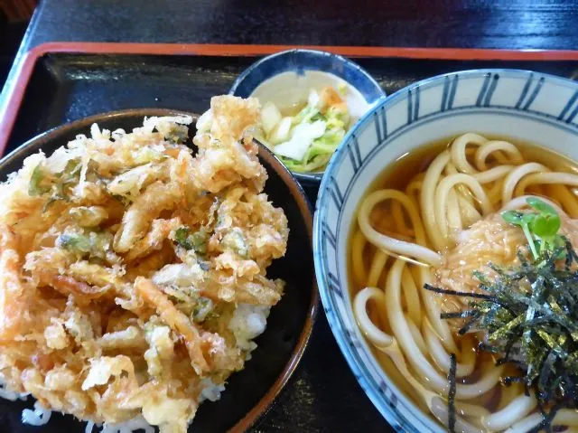 うどん市　料理写真